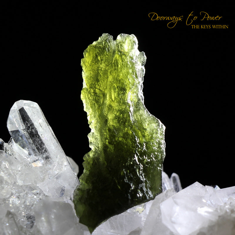Moldavite Synergy 12 Stone Crystal 
