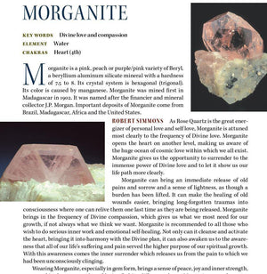Leandro De Souza Morganite Hand Carved ET Crystal Skull Meditation Crystal