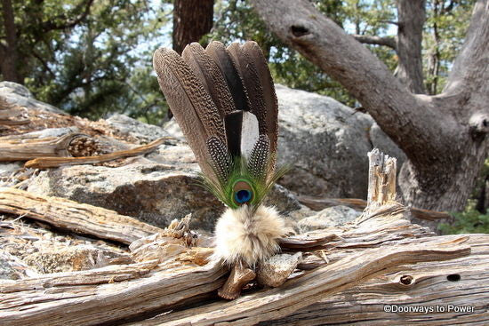 Turkey Smudge Fan - Ceremony