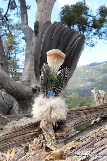 Turkey Peacock Smudge Fan