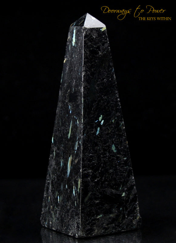 Nuummite Generator Crystal Point