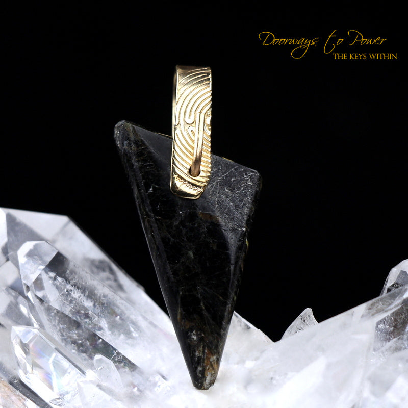 Nuummite Light Language Crystal Pendant ™ 14k 1