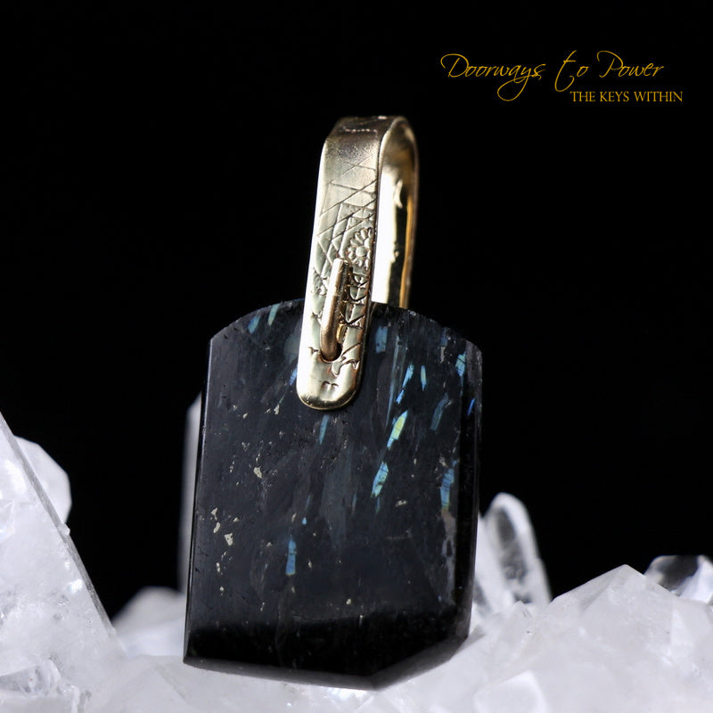 Nuummite Light Language Crystal Pendant ™ 14k Gold