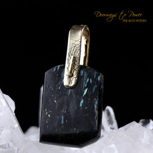 Nuummite Light Language Crystal Pendant ™ 14k Gold
