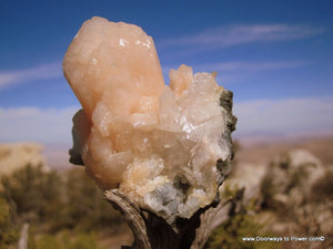 Peach Stilbite Flower Specimen