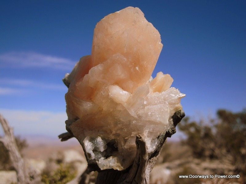Peach Stilbite Flower Specimen