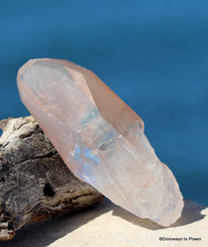 Pink Lemurian Seed Crystal Record Keeper Time Link