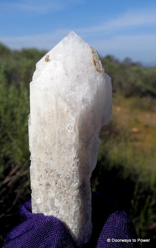 Danburite Crystal Synergy 12 Stone