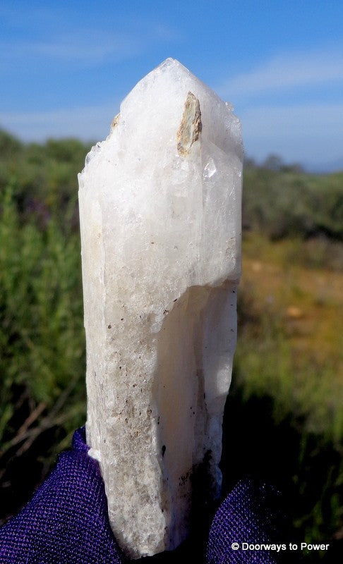 Danburite Crystal Synergy 12 Stone