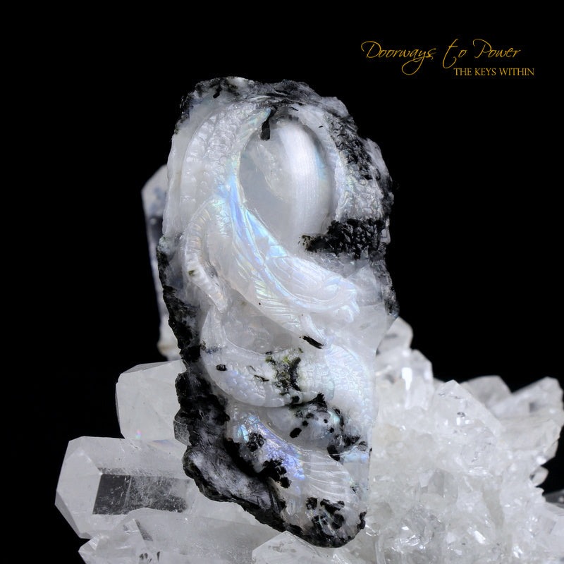 Rainbow Moonstone Dragon Crystal Talisman