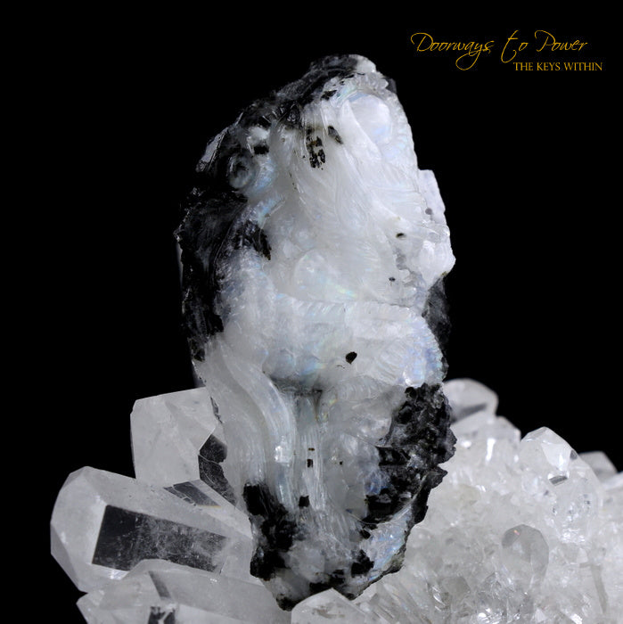 Rainbow Moonstone Dragon Crystal Carving 'Awaken the Dragon'