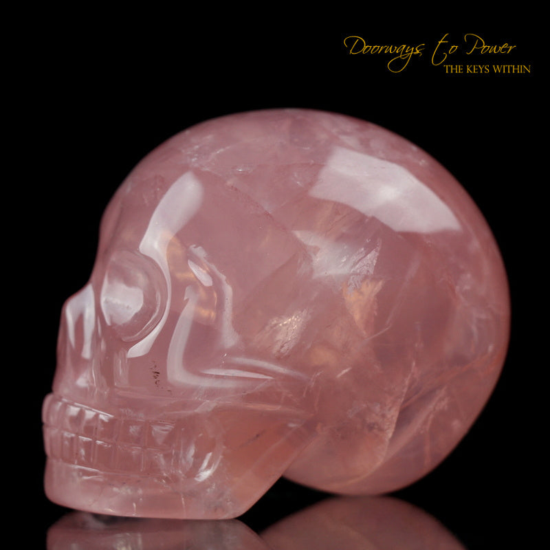 Rose Quartz Crystal Skull By Leandro De Souza