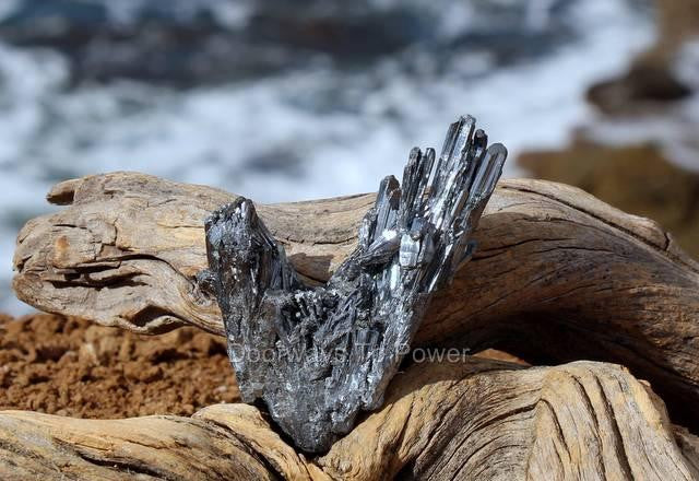 Stibnite Angel Wings