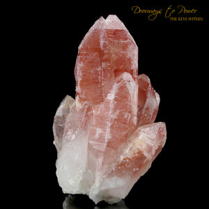 Scarlet Temple Rosetta Stone Cassiopeia Lemurian