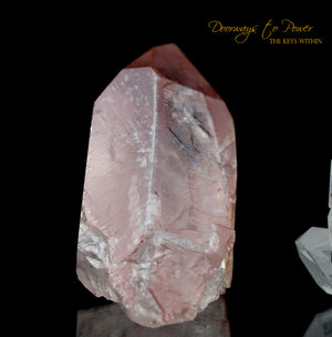 Scarlet Temple Rosetta Stone Cassiopeia Starbrary Lightning Struck Lemurian Crystal