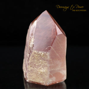 Scarlet Temple Rosetta Stone Starbrary Lightning Struck Lemurian Crystal 