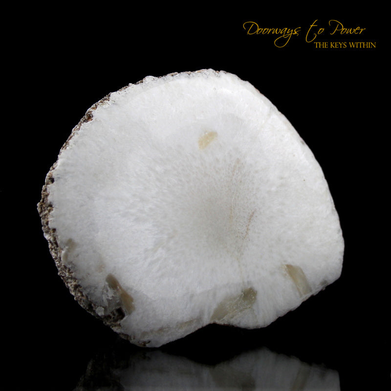 Scolecite Synergy 12 Stone Crystal