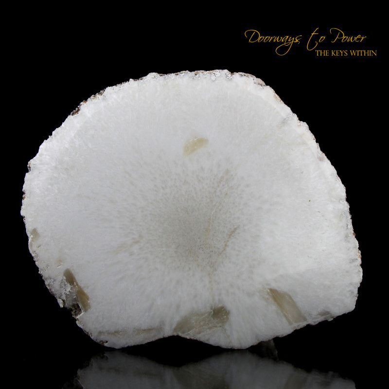 Scolecite Synergy 12 Stone Crystal