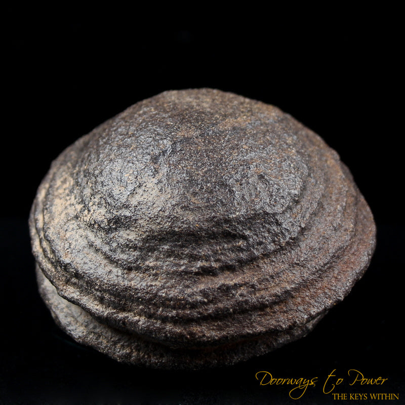 Shaman Stone 'Soul Retrieval'