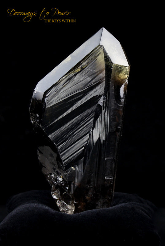 Smoky Citrine Lemurian Quartz Crystal 'Grounded In the All' 