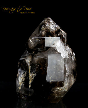 Smoky Elestial Quartz Crystal Record Keeper 'Portals of Ancient Knowledge'