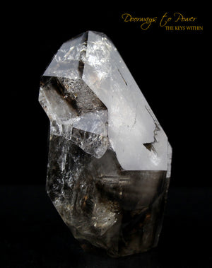 Smoky Elestial Quartz Crystal Record Keeper 'Portals of Ancient Knowledge'