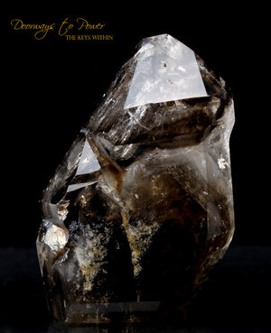 Smoky Elestial Quartz Crystal Record Keeper 'Portals of Ancient Knowledge'