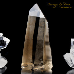 Smoky Lemurian Quartz Crystal Point