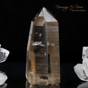 Smoky Lemurian Quartz Crystal Point
