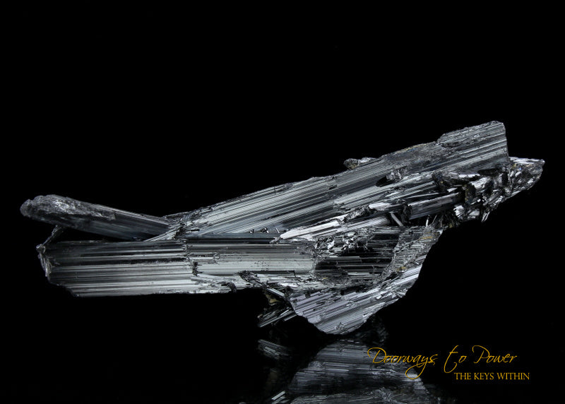 Stibnite Specimen 'VOYAGER'