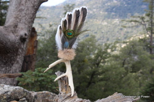 Turkey Peacock Smudge Fan Native American