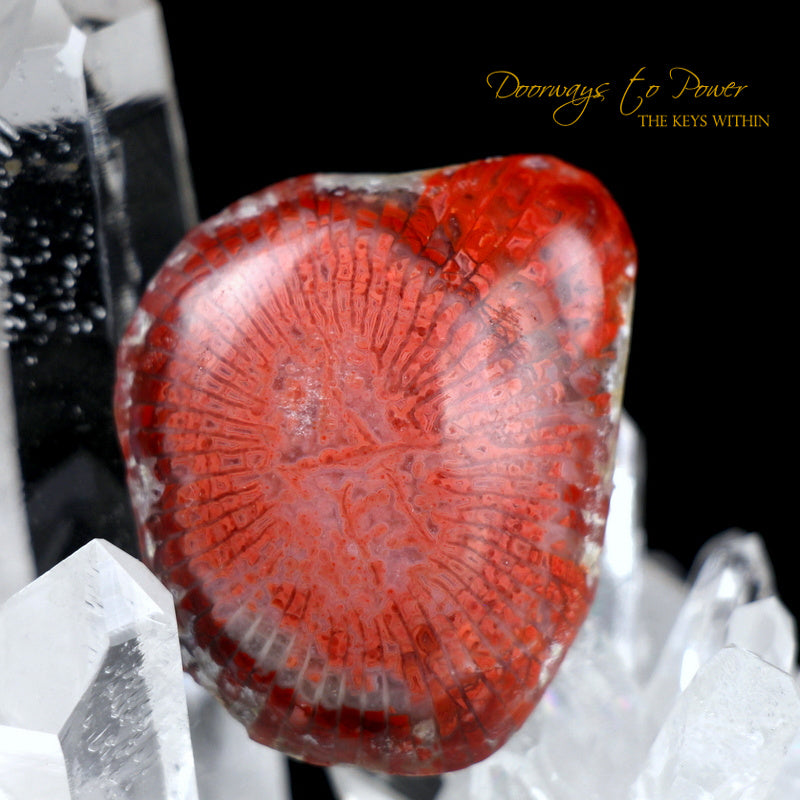 Sunstone Crystal Dragon Carving Talisman 'Pure Manifestation'