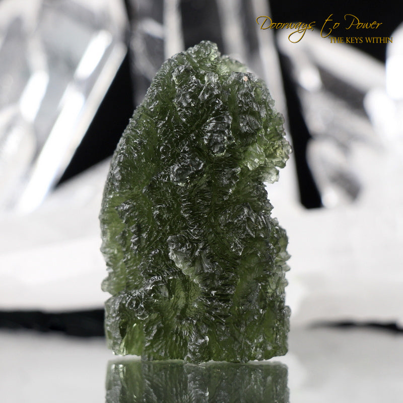 Synergy 12 Stone Moldavite