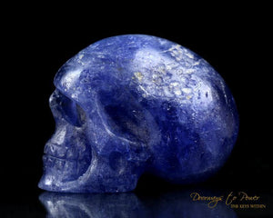 Tanzanite Crystal Skull Synergy 12 Stone