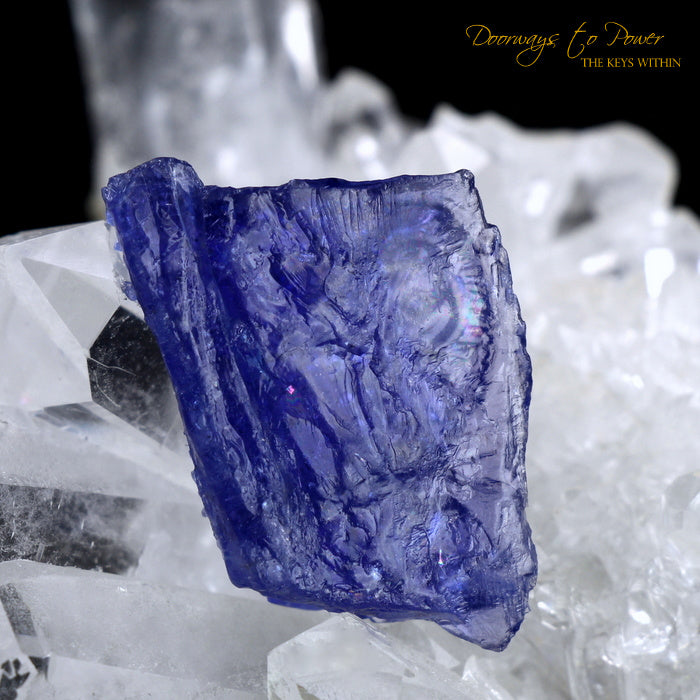 Tanzanite Synergy 12 Stone Dragon 