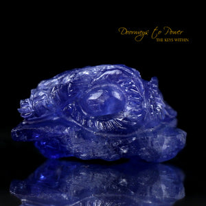 Tanzanite Crystal Carving Synergy 12 Stone
