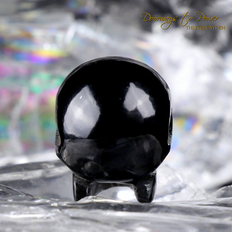 Tibetan Tektite Synergy 12 Stone Crystal Skull 