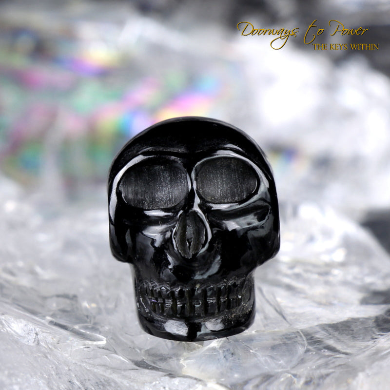 Tibetan Tektite Synergy 12 Stone Crystal Skull 