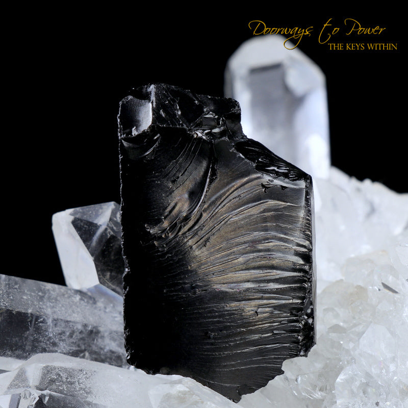 Tibetan Tektite Dragon Carving Talisman Hand Carved 