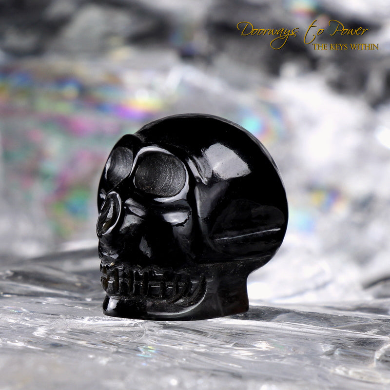 Tibetan Tektite Synergy 12 Stone Crystal Skull 