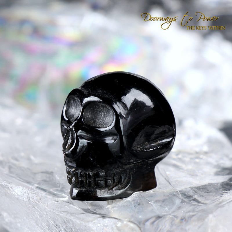 Tibetan Tektite Synergy 12 Stone Crystal Skull 