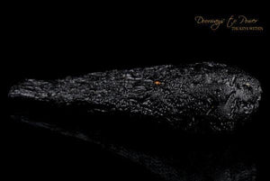 Tibetan Tektite 