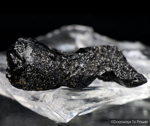 Tibetan Tektite Synergy 12 Stone