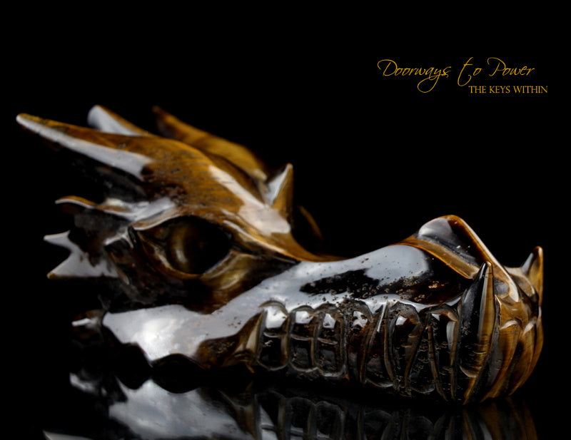 Tigers Eye Dragon Crystal Carving