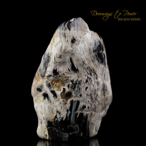 Transmutite Crystal Altar Stone 