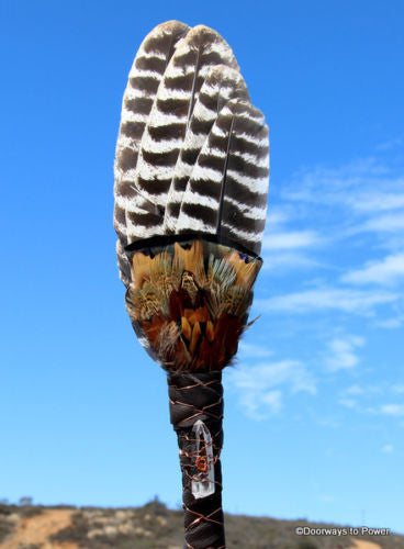 Turkey Feather Smudge Fan Time Link Crystal