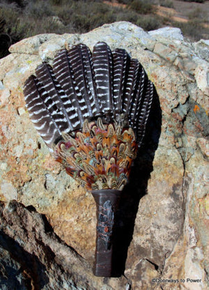 Turkey Smudge Fan - Black Kyanite Protection