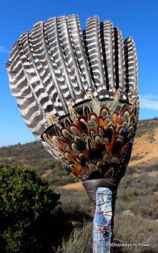 Turkey Smudge FAN Blue Kyanite Native American Cleansing