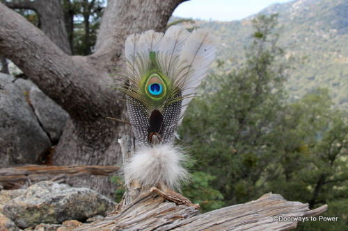 Turkey Smudge Fan Good Luck & Wisdom