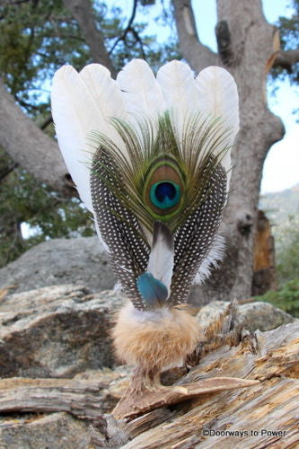 Turkey Peacock Smudge Fan Wisdom and Protection